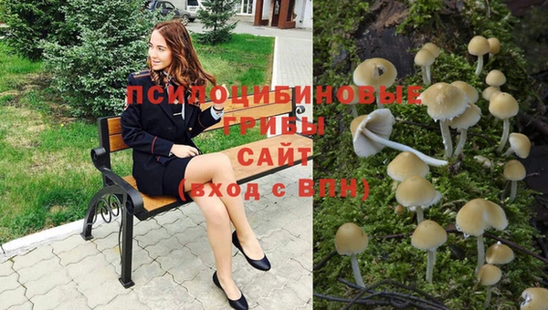 бошки Абдулино