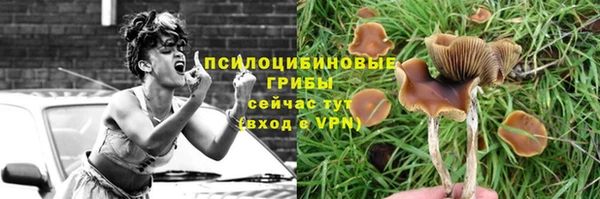 прущая мука Абинск