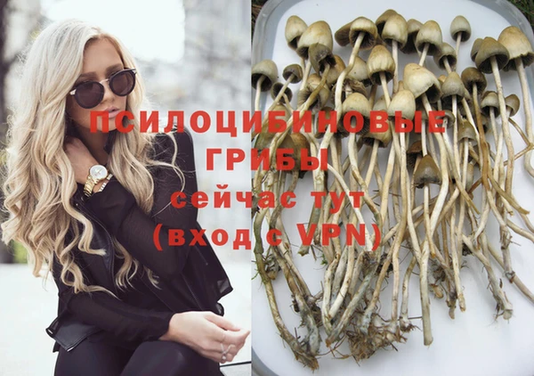 прущая мука Абинск